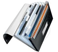 Leitz 4589 WOW carpeta acordeón negra (6 compartimentos)