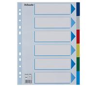 Leitz Esselte 15260 - Lengüeta de índice (polipropileno, A4, simple), multicolor