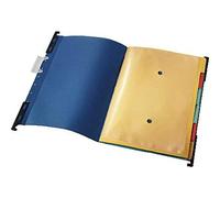 Leitz Carpetas colgantes ESSELTE 18900135 Divide-It-Up visor rígido transparente lomo V DIN A4 azul