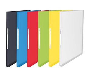 Leitz Esselte Carpeta de fundas A4, 100 fundas, Capacidad para 200 hojas, Fundas transparentes, Tapas flexibles, Gama VIVIDA, 624009, Colores surtidos, 1 unidad