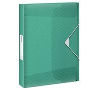 Leitz Esselte Carpeta Organizadora Tamaño A4, Hasta 200 Hojas, Lomo de 25mm, Carpeta Translúcida para Documentos, Casa/Oficina, Patrón en Relieve, Gama Colour'Breeze, Verde, 626260