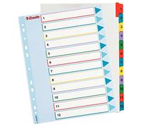 Leitz Esselte Índices Proyectos Borra y Reescribe, Tamaño A4 maxi, 12 pestañas, Multicolor, 100209