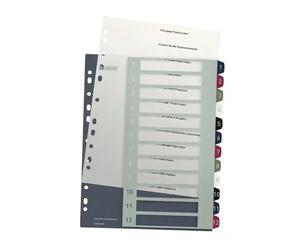 Leitz Juego de 12 Separadores Imprimibles Polipropileno DIN A4 Multitaladro