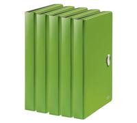 Leitz Recycle Carpeta Clasificadora de Acordeón para Folios A4 con 5 Compartimentos y Capacidad para 250 Hojas de Plástico de Polipropileno 100% Reciclable, Verde - 46240055