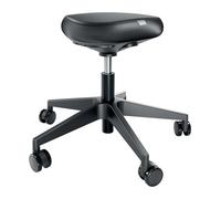 LEITZ Taburete Active Ergo Negro