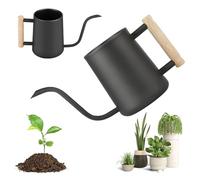 LEKEFETO Regadera 1L/35oz para plantas de interior, acero inoxidable, mango de madera, boquilla fina