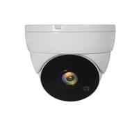 Level One ACS-5302 Cámara de Seguridad Domo 1080p Blanco