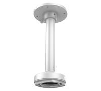 Level One CAS-7324 Soporte de Techo para FCS-3073