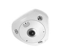 LevelOne FCS-3095 cámara de vigilancia Esférico Cámara de seguridad IP Interior y exterior 4000 x 3000 Pixeles Techo/Pared/Escritorio - Nuevo