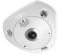 LevelOne FCS-3095 cámara de vigilancia Esférico Cámara de seguridad IP Interior y exterior 4000 x 3000 Pixeles Techo/Pared/Escritorio - Nuevo