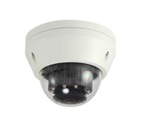 LevelOne FCS-3306 Cámara De Vigilancia Domo Ethernet Exterior Antivandálica