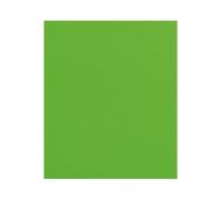 Liderpapel 36391 - Papel fantasía kraft, color pistacho