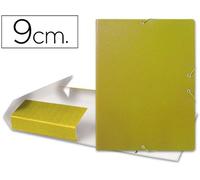 Liderpapel 37355 - Carpeta proyectos
