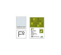 Liderpapel - 50019 Pack De 100 Hojas De Recambio Folio, Cuadro 4Mm Con Margen, 4 Taladros