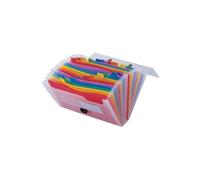 Liderpapel Carpeta Clasificador Fuelle 45144 Polipropileno A4 Transparente Con Asa Spectrafile 26 Dpto