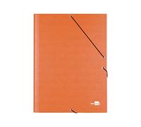 Liderpapel CS06 - Carpeta clasificadora 12 departamentos
