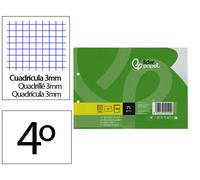 Liderpapel Recambio Din A5 Apaisado, 100 Hojas de Papel Cuadriculado de 75 g/m², 3 mm, 2 Taladros, con Margen, Compatible con Carpetas de Anillas