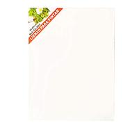 Lienzo blanco para pintar 40 x 50 X 1.5 cm