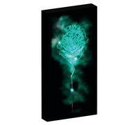 Lienzo con 6 luces LED para colgar y colocar de pie, de Harry Potter, 20 x 3 x 40 cm