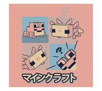 Lienzo de Minecraft Frog de 30 x 30 pulgadas, adorable arte de pared con la rana de Minecraft, listo para colgar, ideal para iluminar cualquier habitación con un toque de diversión de Minecraft