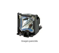 Liesegang Osram Lámpara halógena 36V/400 W 300h