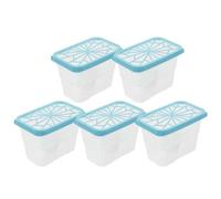 LIFKICH 5 Piezas Caja Absorbente de Humedad Reutilizable y Recargable de | Diseño Compacto y Tapa Sellada, para Armario Estante, Ahorro de Espacio, Uso Interior