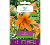 Lilia Orange Space naranja 1 unidad.