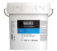 Liquitex aditivo - Médium de preparación de superficie gesso blanco Professional, 3,79 L