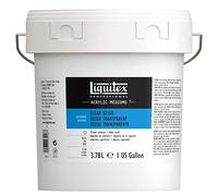Liquitex Professional - Imprimación para superficies (3,79 l), transparente
