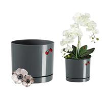 LiveLaif®- Macetas Decorativas Interior | Macetero Moderno con Plato | Macetas plastico, Tiestos para Plantas Interior, Exterior, orquideas, suculentas, etc | Resistentes y Ligeras (Gris, Ø12cm)