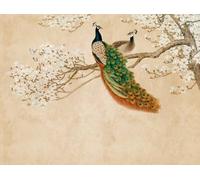 Livingwalls A.S. Création 382361 - Papel pintado fotográfico (fieltro, 3,71 x 2,80 m), diseño de pavo real, color beige y blanco