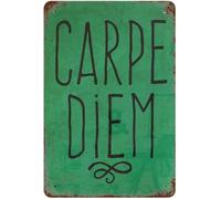 LLBOGRGGN Carpe Diem Metal Sign Typography Art Home Bar Decor 8 X 12 in | Elegant script on vintage metal Fits well in modern or traditional decor