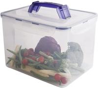 LocknLock 2er Set Classic mit Griff, Ablaufgitter 10,00L 295 x 230 x 203 mm HPL886