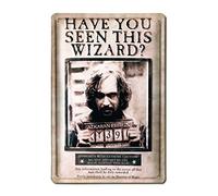 Logoshirt® Harry Potter I Sirius Black I Have You Seen This Wizard I Cartel de Chapa Retro I 3D Diseño I 20 x 30 cm