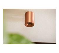 LOOM DESIGN plafón LED Nyx, bronce, IP54 EC:EPREL:2338811