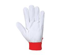 Lot de 12 tergsus Gants, XL, Rouge, 12