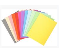 Exacompta Subcarpetas 410000E Forever® 10 – Cartulina 220 g – Lote 100, colores surtidos