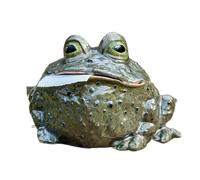 Lovely Frogs - Dispensador de pañuelos con temática de ranas para fiestas de inauguración de la casa