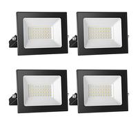 loyal Proyector LED 12V DC, 30W LED Proyector IP65 Resistente al agua, 6000K Blanco frío LED luces de pared al aire libre, 3000LM LED proyector para jardín, patio, terraza, garaje,4-piezas