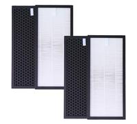 LRFDRESS Filtro HEPA y carbón activo para filtro de aire Rowenta Tefal PU4010, PU4015, PU4020, PU4020F1, PU4025, filtro de aire de repuesto, XD6070F, XD6074F0, XD6060, XD6060F0 (2 unidades)