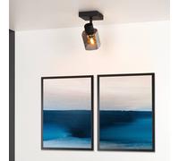Lucide Foco de techo Alion con pantalla de vidrio, 1 luz