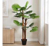 Lumanois Árbol de Palma Artificial con Hojas Verde 75 x 25 x 180 cm, Plantas de Interior y Exterior, 10.35 kg-42042062
