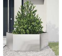 Lumanois Jardinera Hexagonal de Acero Inoxidable 138x120x45 cm,Jardinería,Maceteros y jardineras,11.62kg-851140