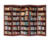 LUMASOUL Biombo Separador de Ambientes Doble Cara - Bibliotecario Motivo - Biombos Separadores de 5 Paneles - Biombos Decorativos para Divisor Ambientes - 225x172cm