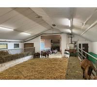 Luminaria antihumedad DP SPECIAL 1500 50 W 4000 K 4058075452176