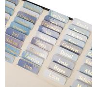 Lumintutu Pestañas laminadas para Biblia en español - Pegatinas reposicionables de letra grande - Suministros para el diario de estudio bíblico - Regalo cristiano para mujeres y hombres (azul acuarela
