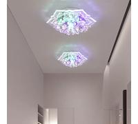Luz de techo de cristal LED de 20cm, lámpara de techo moderna con forma de flor, lámpara para pasillo, sala de estar, dormitorio, cocina, pasillos, luz para pasillo