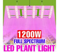 Luz LED de cultivo de 1200W, tablero cuántico de espectro completo, lámpara UV para plantas, tienda de invernadero, iluminación de cultivo hidropónico de flores y verduras