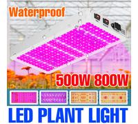 Luz LED de cultivo de espectro completo de 800W, lámpara de cultivo de plantas hidropónicas de espectro completo UV IR para tienda de campaña de invernadero, flores y verduras