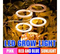 Luz LED de cultivo de plantas DC5V, espectro completo, semillas de flores de interior, caja de crecimiento de vegetales hidropónicos, lámpara de cultivo, temporizador regulable USB